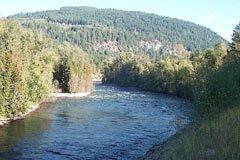 image of river with  tree covered hill in background