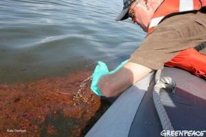 biologist sampling oil in Gulf of Mexico image of man leaning over the edge of the boat to collect sample of oil in the water