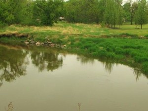 image of river with green fields and trees on the shore