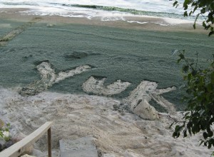 image of word "yuk' raked inot dired algae at the beach