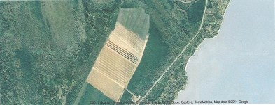 satellite picture of peat mine near lake shore