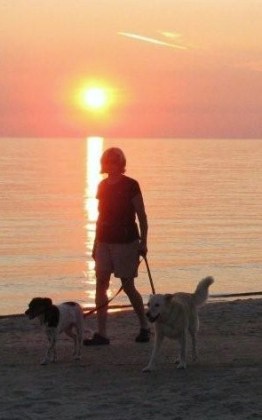 image of woman walking with 2 dogs on beach at sunset