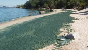 Blue-green algae dried up on beach on Lake Winnipeg