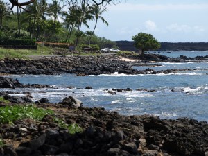 Maui Shoreline