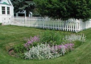 Rain Garden Example - photo from Cuyahoga Soil and Water Conservation District