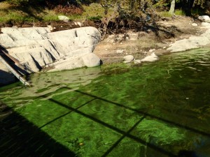 Algae on the Winnipeg River Sept. 2014