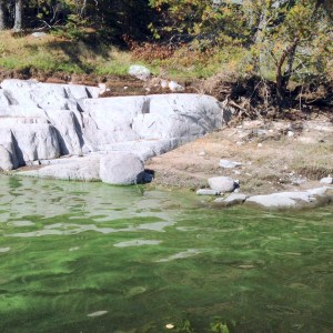 Blue-green algae on the Winnipeg River 2014