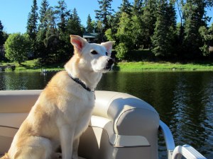 Jess Enjoying a Boat ride, Winnipeg River
