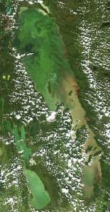 Lake Winnipeg blue-green algae in satellite photo from NASA