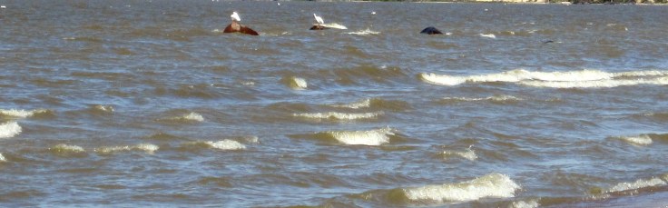 Whitecaps on Grand Beach