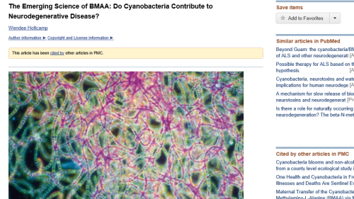 BMAA link to Neurodegenerative diseases
