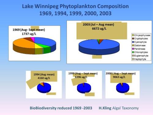 Alage composition changes